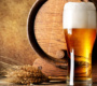 Cerveja. 8 motivos para beber sem culpa