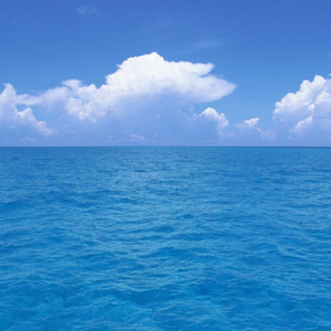 Por que o mar é azul?