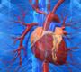 10 fatos interessantes sobre o coração humano