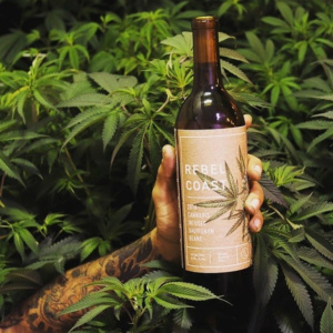 Conheça o primeiro vinho feito de Cannabis, sem álcool, mas que promete te deixar “alto” e sem ressaca