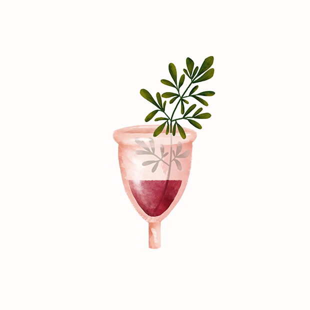 ilustração-vinho-e-plantas