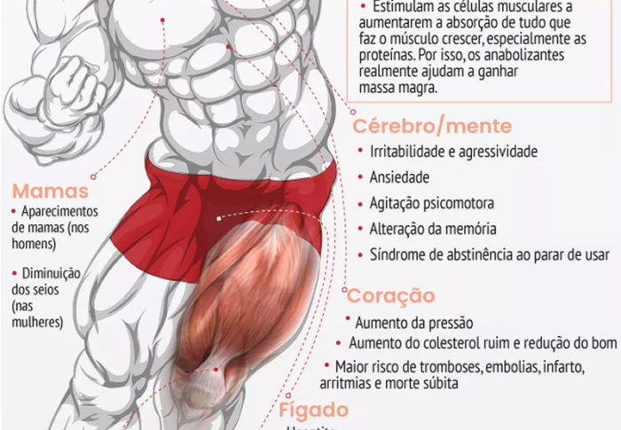 Entenda de que maneira os anabolizantes prejudicam o corpo