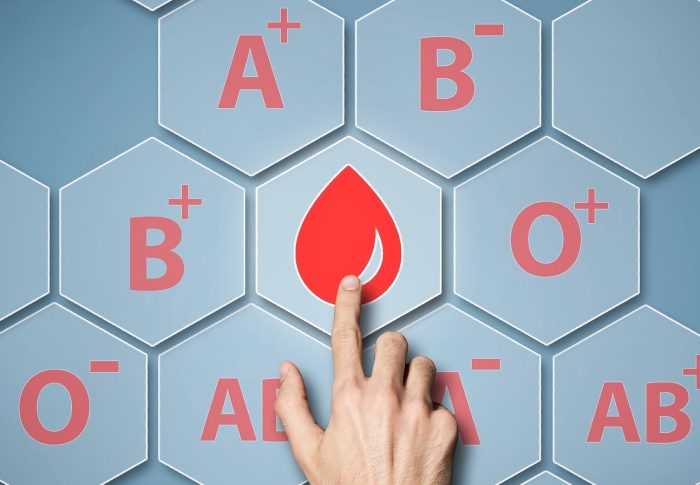 Dieta do Sangue: Se Alimentar Melhor de Acordo com Seu Tipo Sanguíneo