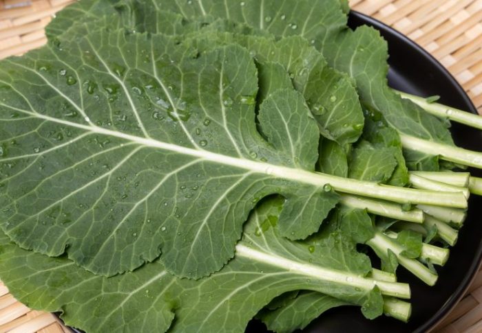 Couve: o alimento coringa com múltiplos benefícios para a saúde