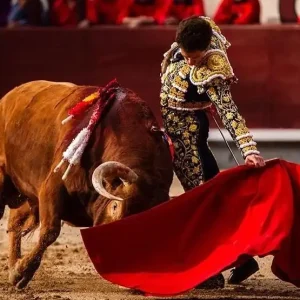 Tourada na Espanha: tradição, cultura e polêmica