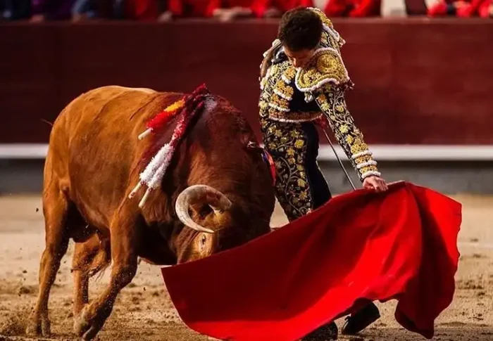 Tourada na Espanha: tradição, cultura e polêmica