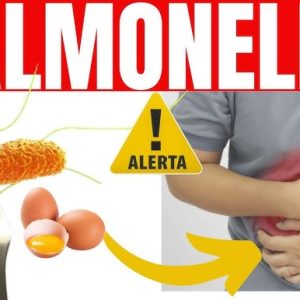 Salmonella: inimigo fatal e invisível a olho nu