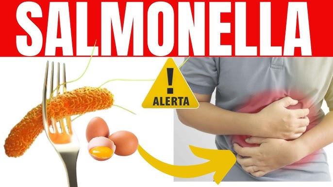 Salmonella: inimigo fatal e invisível a olho nu