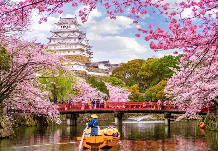 Hanami: o Festival da Sakura no Japão
